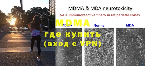 мяу мяу мука Кодинск