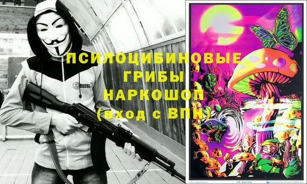 a pvp Пенза
