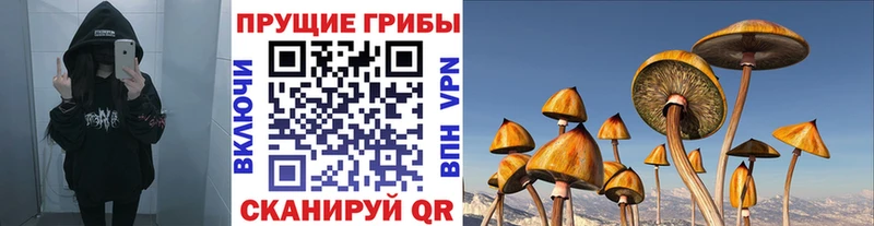 Псилоцибиновые грибы Psilocybe  купить закладку  Сортавала 